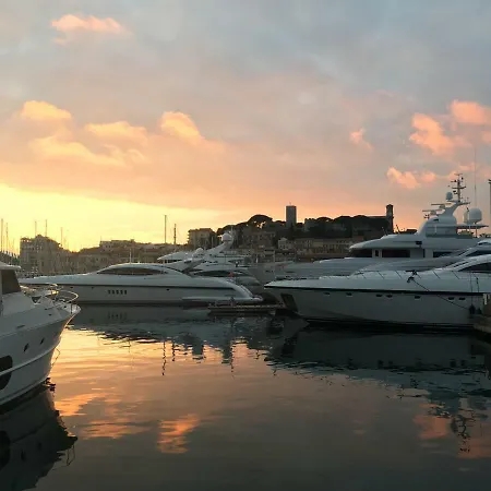 Center Festival And Apartment Cannes